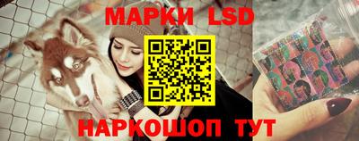 крисы Дубна