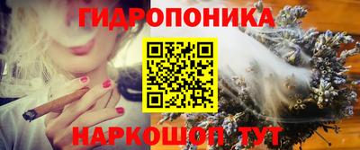 крисы Дубна