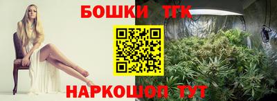 крисы Дубна