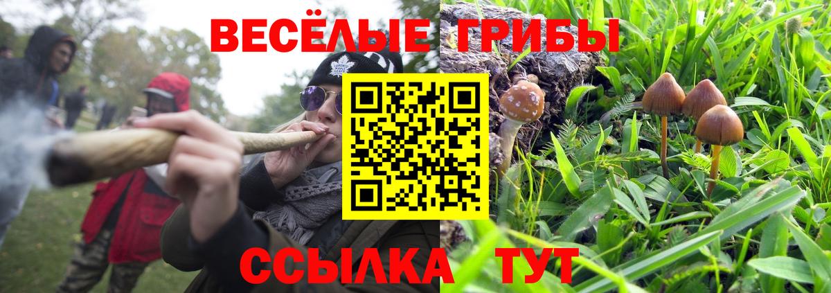 Псилоцибиновые грибы ЛСД Михайловка