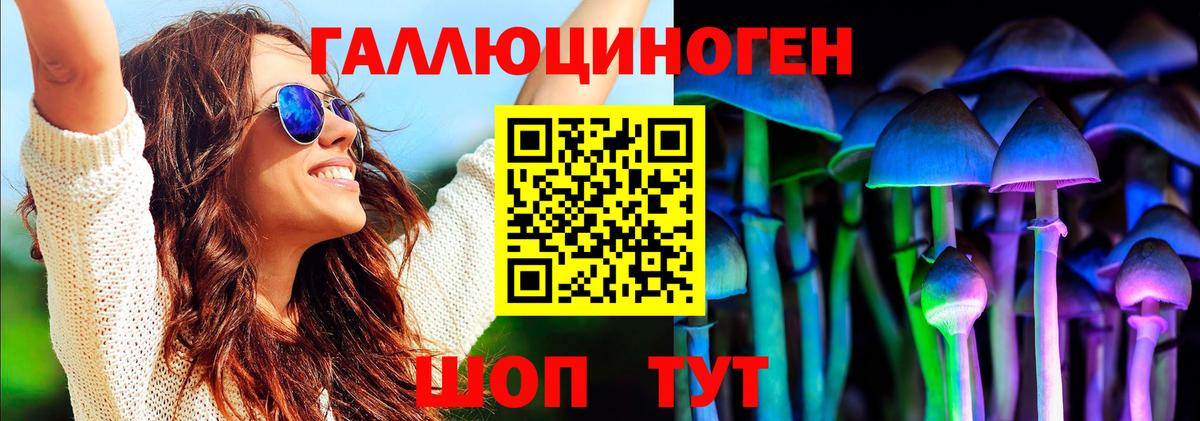 Галлюциногенные грибы Psilocybe  Вход с VPN  Михайловка 